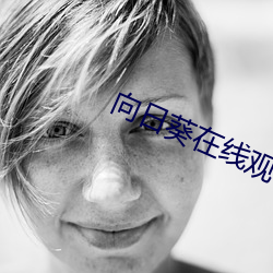 向日(日)葵在线观看(看)