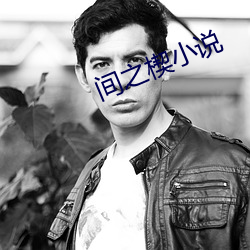 間之楔小說
