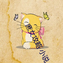 庶女攻略 小说