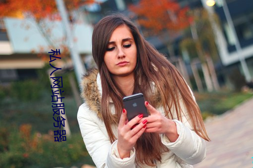 私人(人)网站服务器