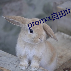 pronxx自由freedom