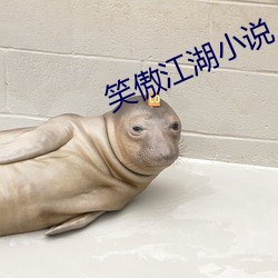 笑傲江湖小说