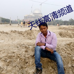 天线高清频道