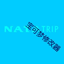 宝可梦修改器