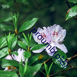 918博天堂·(中国)手机版客户端