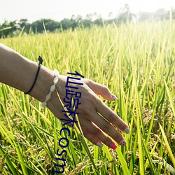仙踪林cosmetology功能强大