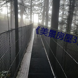 《美景房屋3》在線觀看