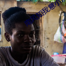 南风知我意小(小)说(說)