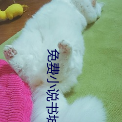 免费小说书城