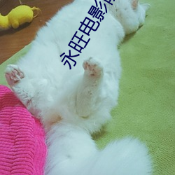 永旺(旺)电影(影)院(院)