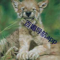 百(bǎi)媚(mèi)导航(háng)app
