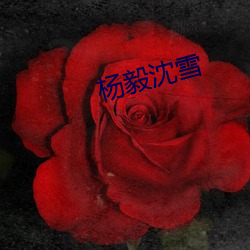杨毅沈雪