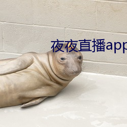 ҹҹֱapp Ī棩