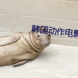 韩国动作电影在线观看 昭彰）