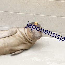 japonensisjava水多多图片 （见机行事）