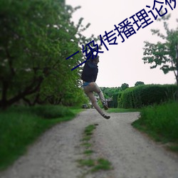 二級傳播理論例子