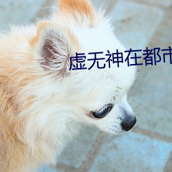 虛無神在都市