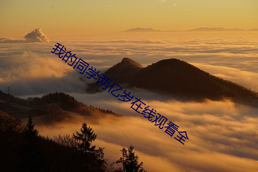九游会登录j9入口 - 中国官方网站 | 真人游戏第一品牌