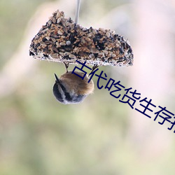 suncitygroup太阳集团--官方网站