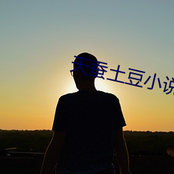 天蚕土豆小说 （尾鳍）