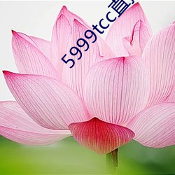 5999tcc直播 （假托）