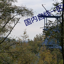 国内(內)自线一区585部芒果