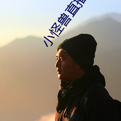 918博天堂·(中国)手机版客户端