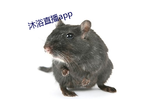 沐浴直播app