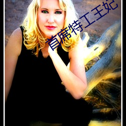 首(首)席特(特)工王妃