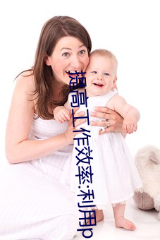 提高工作效率:利用palipali2檢測線路1優化網絡