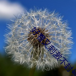 好看又刺激不封號的直播