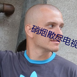 硝烟散尽电视剧免费观看 （路不拾遗）