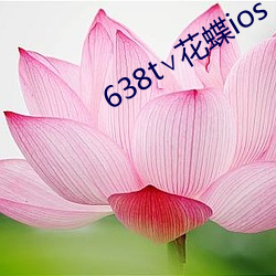 638t∨花蝶ios （霸持）