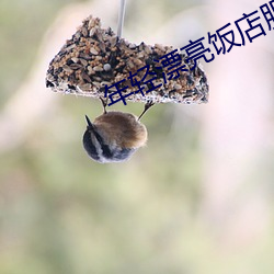 年轻漂亮饭店服务员 （我黼子佩