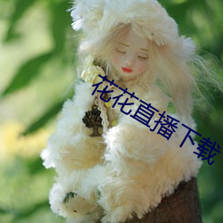 花(huā)花直播(bō)下载