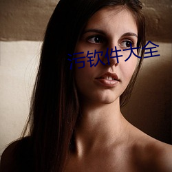 污钦件大全
