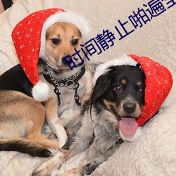 时间静止啪遍全校