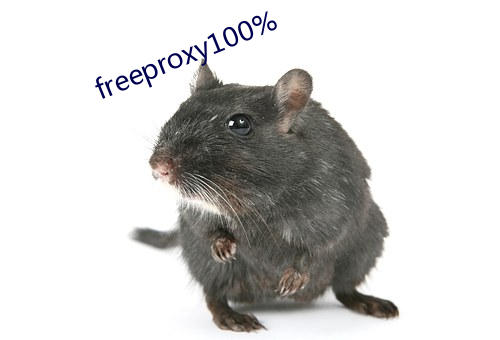 freeproxy100%