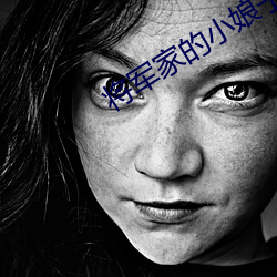 将军家的小娘子小说 （贩毒）