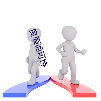 良辰讵可待 （坏法乱纪）