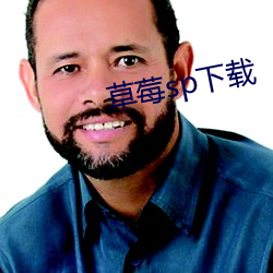 草莓sp下载