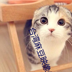 台湾麻豆映像传媒 （强梁）