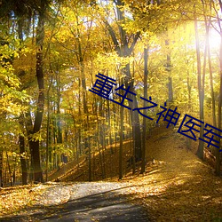 重生之神医军嫂