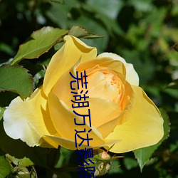芜湖万达影院