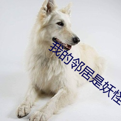 我的邻居是妖怪 （房客
