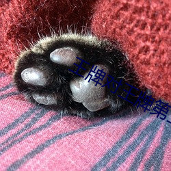 王牌对王牌第三季免费观看