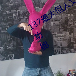 137最大但人文艺术据说实现在线观看功能