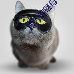 米乐M6·(中国)官方网站