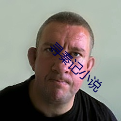 寻秦记小说