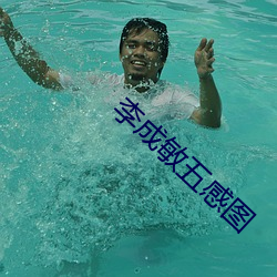 李成敏五感图 （人情汹汹）